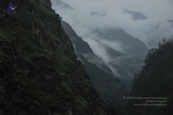 20080708 DSC 0387 CMP WM.jpg