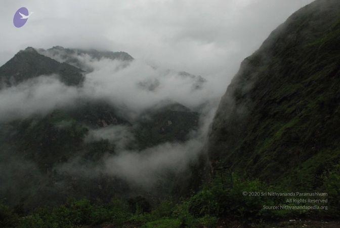 20080708 DSC 0434 CMP WM.jpg