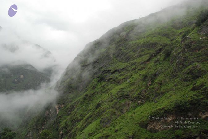 20080708 DSC 0436 CMP WM.jpg