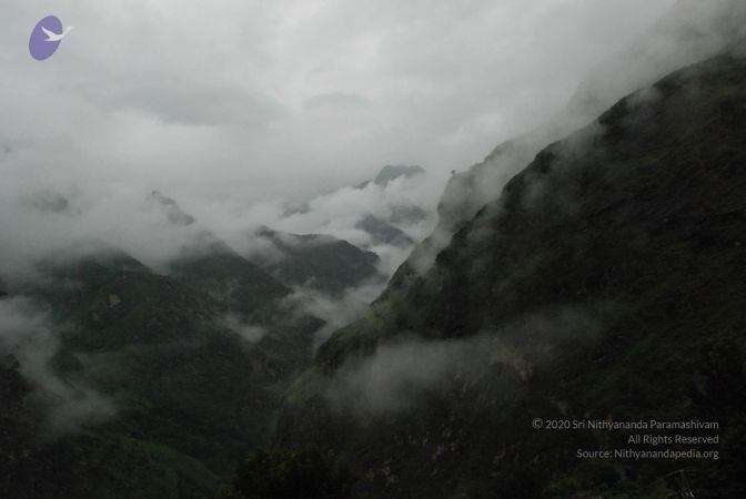 20080708 DSC 0446 CMP WM.jpg