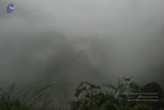 20080708 DSC 0459 CMP WM.jpg