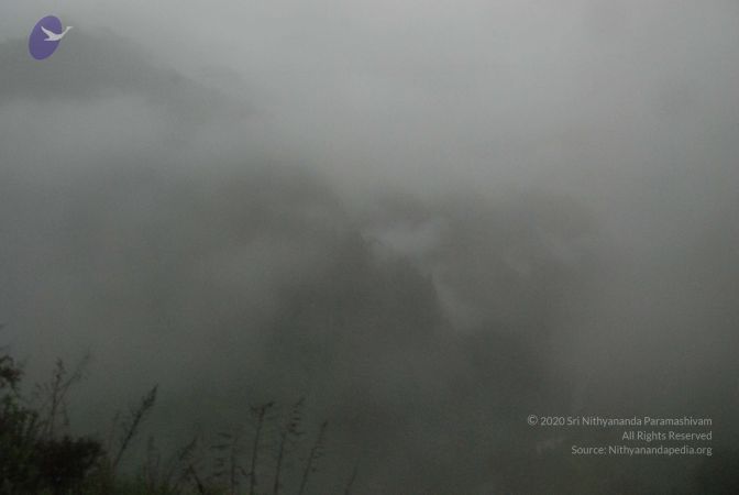 20080708 DSC 0460 CMP WM.jpg