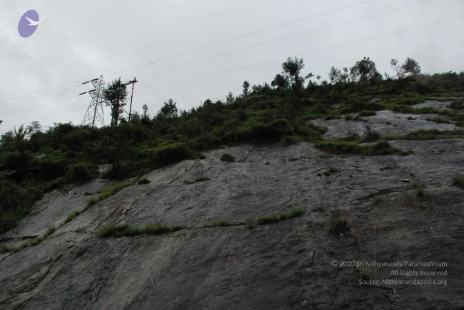 20080708 DSC 0465 CMP WM.jpg