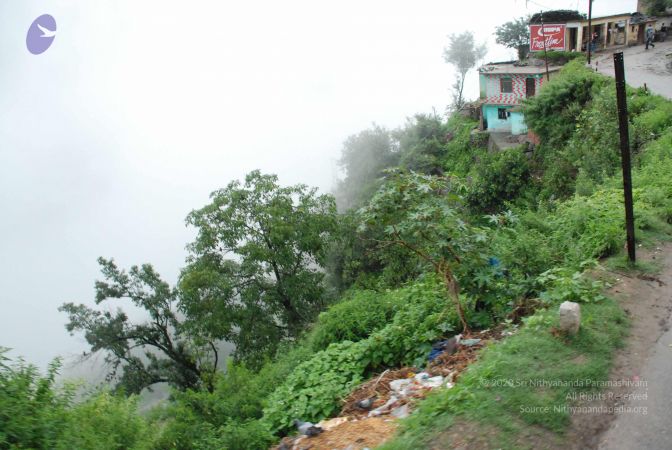 20080708 DSC 0534 CMP WM.jpg