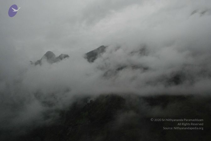 20080708 DSC 0552 CMP WM.jpg