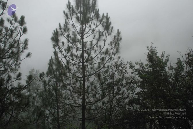 20080708 DSC 0564 CMP WM.jpg