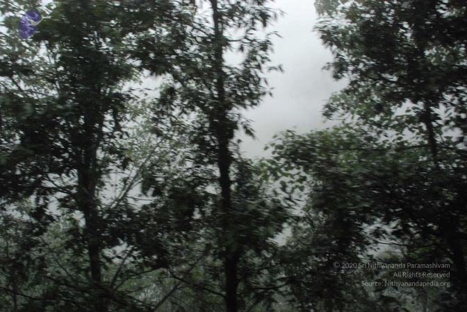 20080708 DSC 0565 CMP WM.jpg