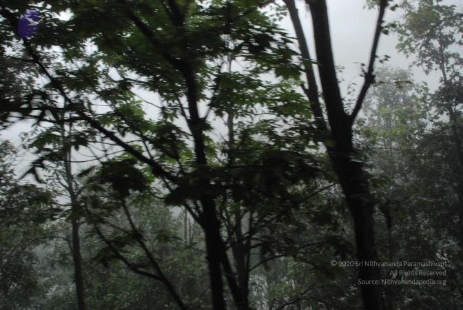 20080708 DSC 0568 CMP WM.jpg