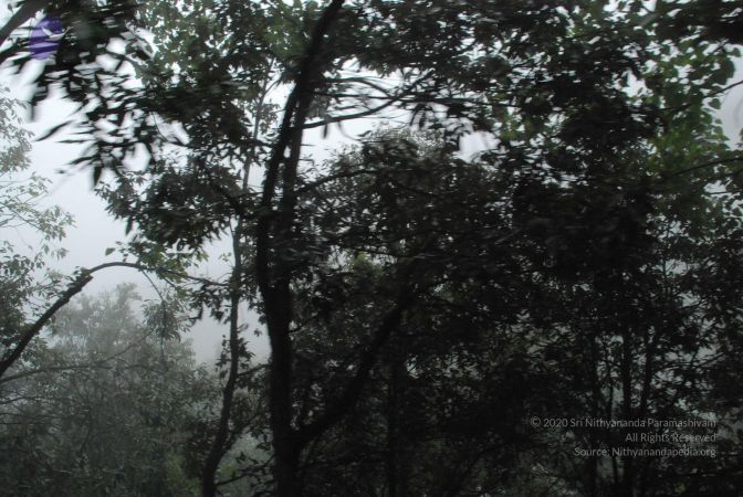 20080708 DSC 0569 CMP WM.jpg