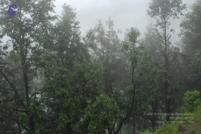 20080708 DSC 0570 CMP WM.jpg