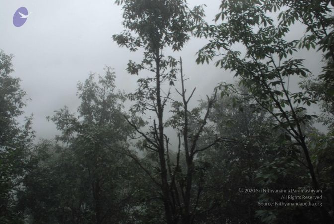 20080708 DSC 0571 CMP WM.jpg