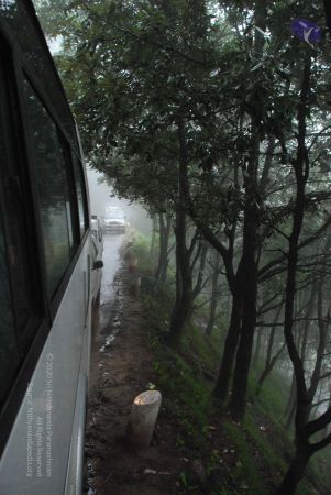 20080708 DSC 0577 CMP WM.jpg