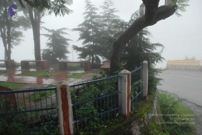 20080708 DSC 0580 CMP WM.jpg