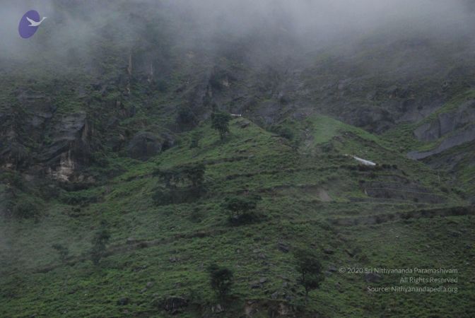 20080708 DSC 0623 CMP WM.jpg