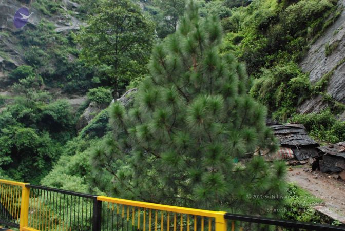 20080708 DSC 0702 CMP WM.jpg