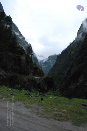 20080708 DSC 0711 CMP WM.jpg