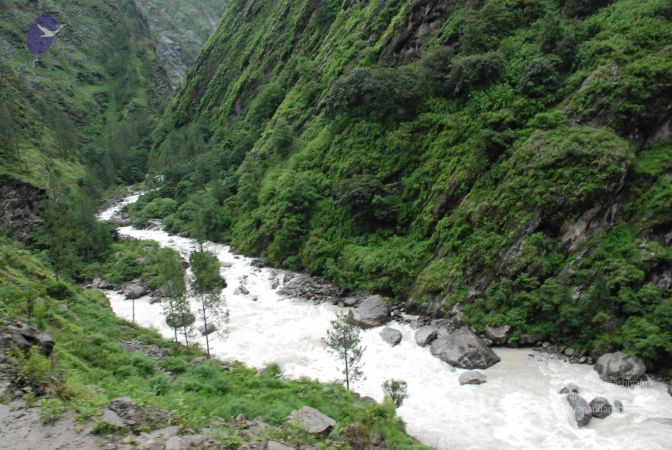 20080708 DSC 0733 CMP WM.jpg