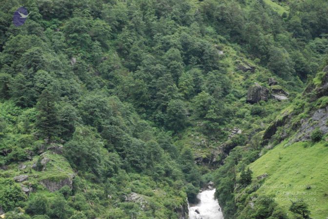 20080708 DSC 0739 CMP WM.jpg