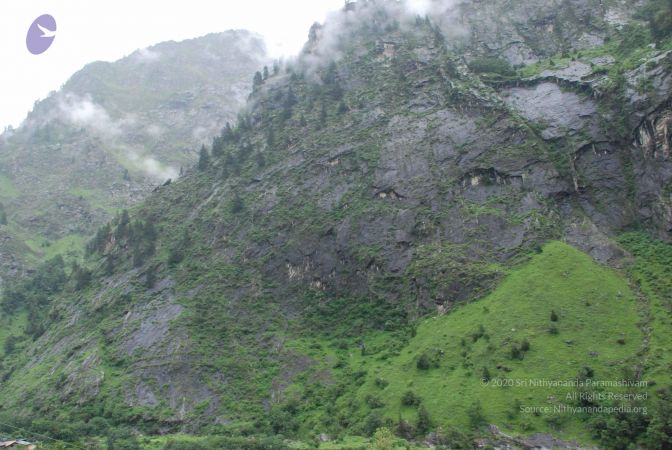 20080708 DSC 0754 CMP WM.jpg