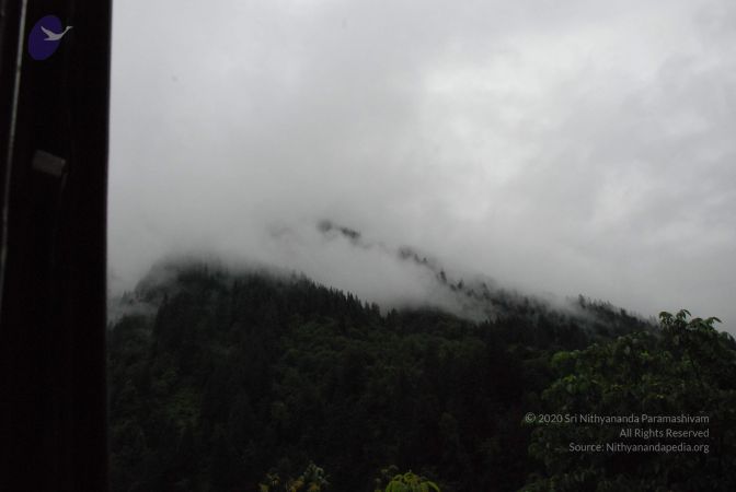 20080708 DSC 0756 CMP WM.jpg