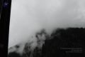 Thumbnail for version as of 12:37, 6 May 2021