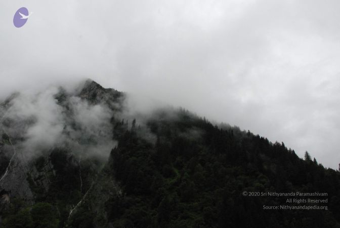 20080708 DSC 0764 CMP WM.jpg