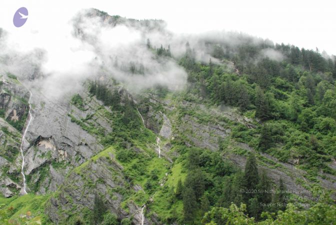 20080708 DSC 0766 CMP WM.jpg