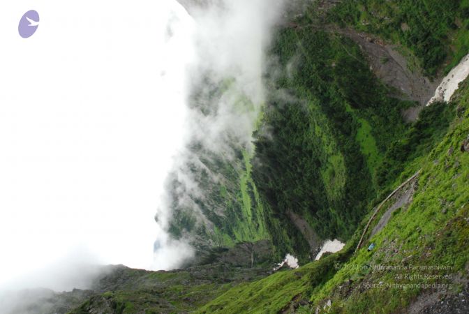 20080708 DSC 0823 CMP WM.jpg