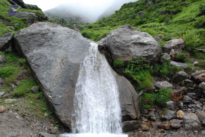 20080708 DSC 0829 CMP WM.jpg