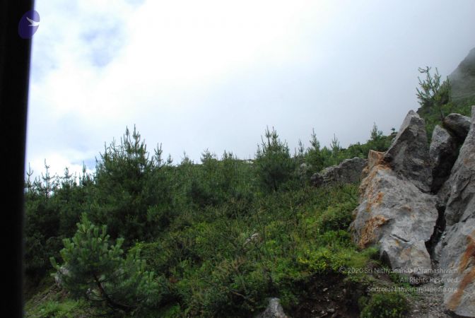 20080708 DSC 0832 CMP WM.jpg