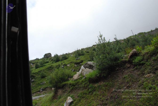 20080708 DSC 0834 CMP WM.jpg