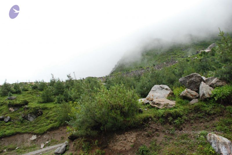 File:20080708 DSC 0836 CMP WM.jpg