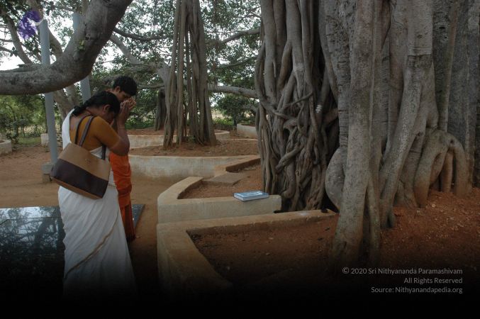 20080708 Photo 1000 17VvqsW v3D2BugbKdghX7TVtPai4KdUZ.JPG