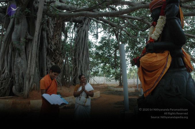 20080708 Photo 1008 1MHKQJRHfG3CHn6ArfcjLTm8ILuWYggOQ.JPG