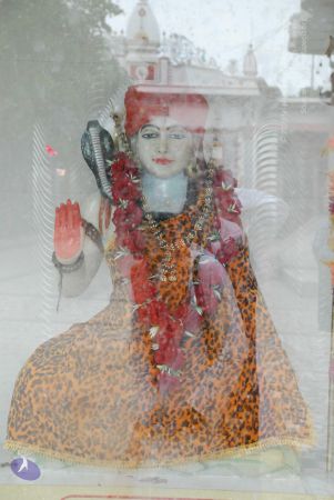 20080710 Photo 1228 1pJAUNfHT5EL1A2PbUoY6F4N4eCSrpuXN.JPG