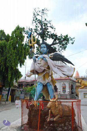 20080710 Photo 1246 1rpGk2mF3zaNQ6OAqGYf1bQ1tW3QOtWXy.JPG