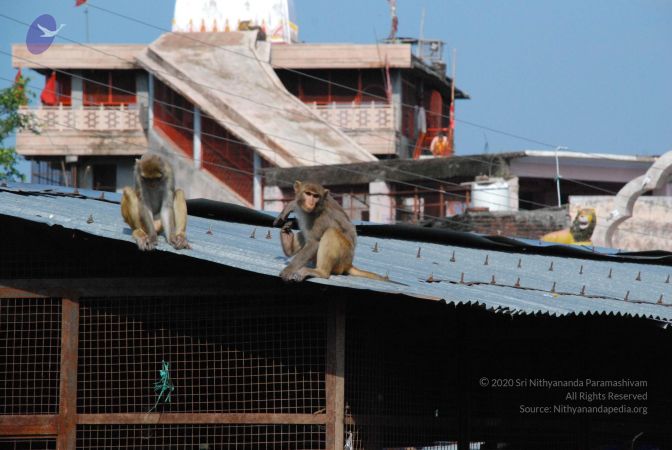 20080710 Photo 1313 1AgLsfQDUw3GlSgTmLVxqCTeYJN ND6aJ.JPG