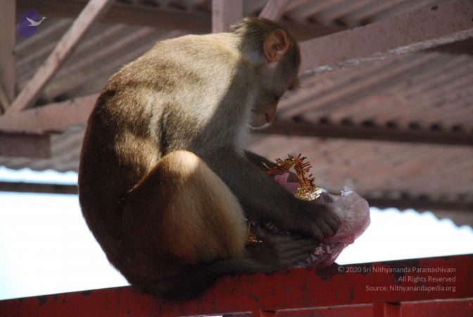 20080710 Photo 1334 1ipltVXux2DLPTqtKJhE-4UdefTtZU0Pd.JPG