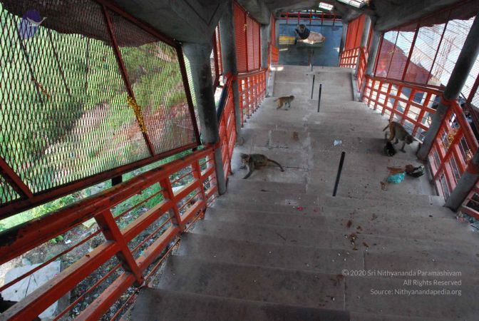 20080710 Photo 1340 1yam37u5Cal2yjNPaFhUR9VGdiIadNvCO.JPG