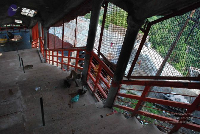 20080710 Photo 1342 1MK fqmDZBmLDi93ljagcSYqcJ41oj-cW.JPG