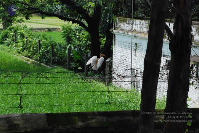 20080710 Photo 1713 1yBcf1yp1j7k7ceDhkwK5N3JSr0cPuojK.JPG