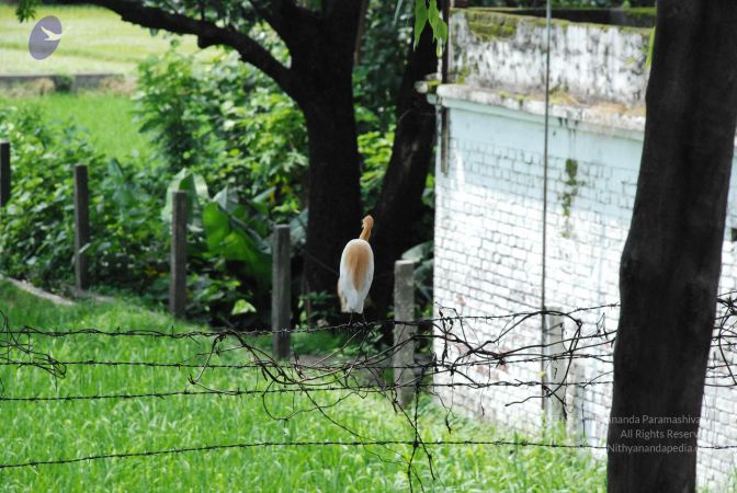 20080710 Photo 1714 10l5yfmxMUSgpQuGco08BjXpRIqB3tOqd.JPG