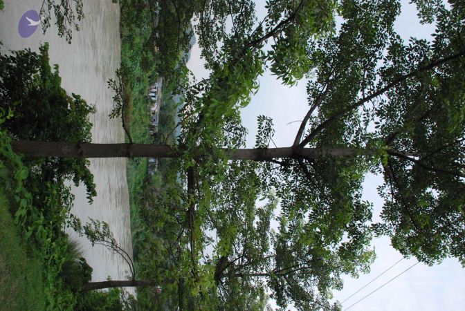 20080711 Photo 1004 1juB2tpF v1PbLhHue12spUYsM14ChmDh.JPG