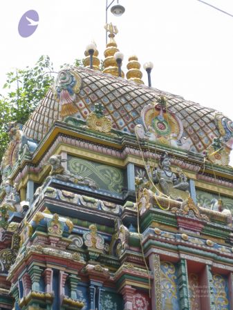 20080711 Photo 1042 1rUnV6NUnkS9 PGZJFpwLzZOEfXUB4Fmk.JPG