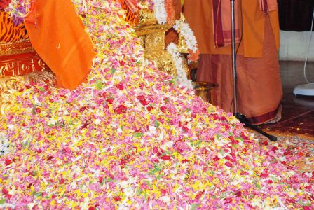 20080717 crown 0510 CMP WM.jpg