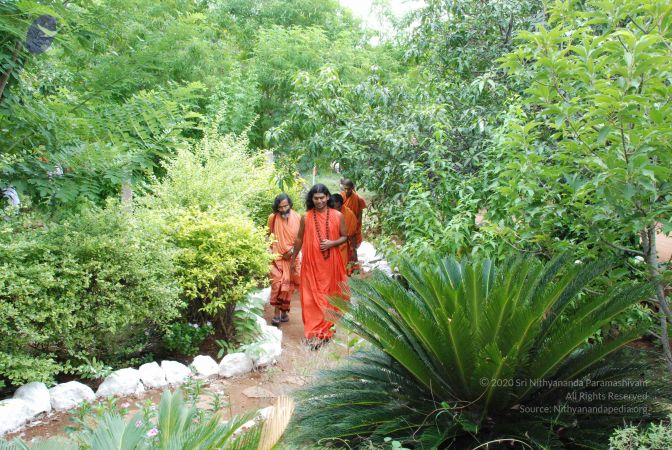 20080727 Photo 2024 1iEDmPakztTm60ckEPdMB4YVYKzWXzjQw.JPG