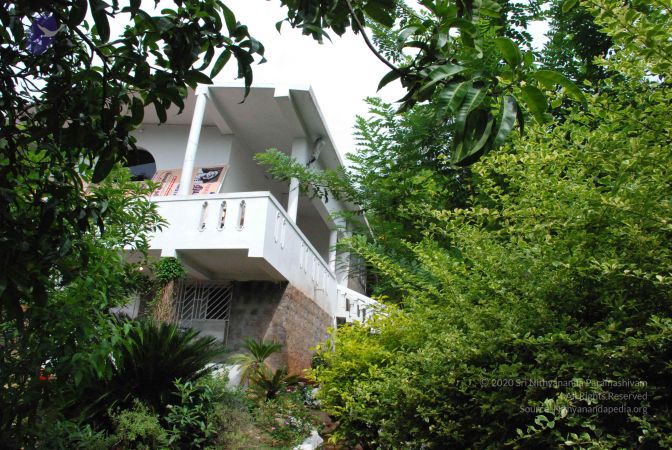 20080727 Photo 2040 1AkKL0ApHFOZczwFeTWxj LPuxjSk2UuQ.JPG