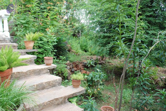 20080727 Photo 2051 10tzvW6qxDYrGxdMDB1RIpwxQO0JfodOW.JPG