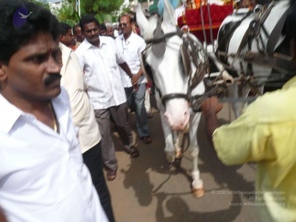 20080728 Photo 1330 1oudHQQkLaDS97nEkWI4QydvmUQ 2D2NU.JPG