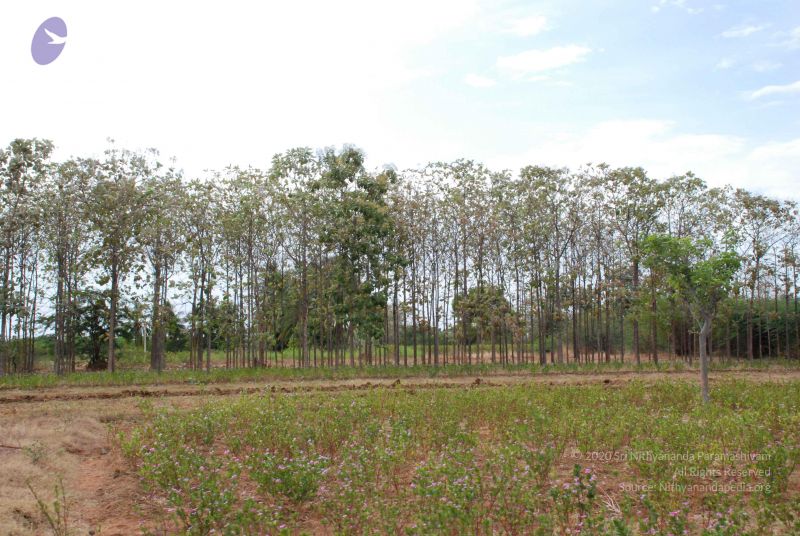 File:20080729 Photo 1046 1dVQNmgJ6pngRV38-RhV1vuYG4BVNdlJY.JPG